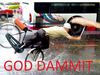 2339903445.jpg