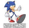 HATERS_GONNA_HATE3.jpg