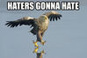 haters.jpg