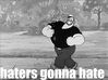 haters17.jpg