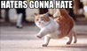 hatersgonnacat.jpg
