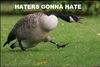 hgh-goosestep.jpg