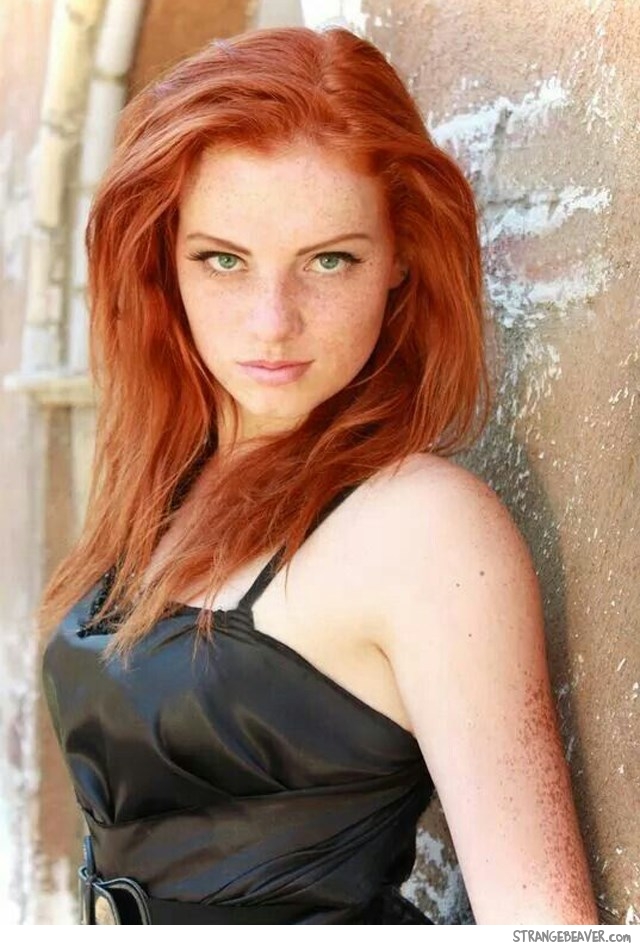 Red Hot Redheads 2 – Telegraph